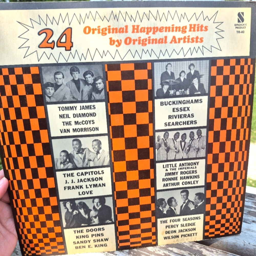 24 Original Happening Hits Vinyl Record
